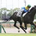 超高額馬の白星デビューにネット歓喜「まだまだ余裕」「マジ本物だな」　２・６億円馬ドラゴンバルドが中京で初陣Ⅴ