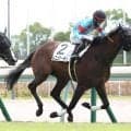 【中京２Ｒ・２歳新馬】コントレイル産駒のレニュアージュが逃げ切り　松山弘平騎手「よく踏ん張ってくれました」