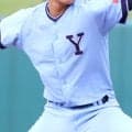 神奈川秋季大会地区予選の横浜南・横須賀地区の組み合わせ決定！横浜商大、横浜商などが別ブロックに【2026年秋高校野球】
