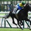 【中京3R新馬戦結果】ドラゴンバルドが快勝 セレクトセール2億6000万円のコントレイル産駒