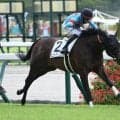 【中京2R新馬戦結果】コントレイル産駒レニュアージュが逃げ切り勝ち
