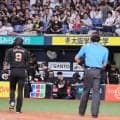 【阪神】藤川監督「すべてこれからですね」ガルシアの打球処理に言及／一問一答