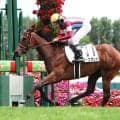 【札幌５Ｒ・２歳新馬】１番人気のウィエダンドが逃げ切り　次戦はクローバー賞を視野　横山和生騎手「気のよさはこの血統ですね」