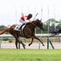 【中京３Ｒ・２歳新馬】ショウナンパンドラの息子ショウナンバトレニは母同様に２着発進　松山弘平騎手「今日は枠の差が…」