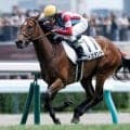 【札幌5R新馬戦結果】シルバーステート産駒ウィエダンドが逃げ切り快勝