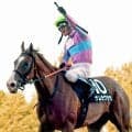 【札幌１１Ｒ・ＵＨＢ賞】ナムラクレアの半妹ナムラクララが差し切った！　浜中俊騎手「うまく空いてくれた」　姉が制したキーンランドＣへ