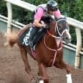 【レパードＳ】先行策取れず…圧勝続きで２番人気のショウナンバンライは６着　２０歳田山旺佑騎手は初タイトルならず