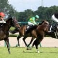 【新潟６Ｒ・佐渡Ｓ】単勝１・２倍ライヒスアドラーが貫禄Ｖ　上原佑調教師「根性でこじ開けてくれました」
