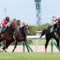 【ＣＢＣ賞】「下を見ずに上だけ向いて…」ＪＲＡ重賞初制覇の中井裕二騎手は感無量　１２番人気フロムダスク重賞初Ｖ　
