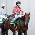 【ＣＢＣ賞】横山武史騎手「この暑さとハンデの割には…」２番人気レイピアは重賞３度目の２着　好走もタイトル届かず