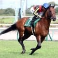 【ＣＢＣ賞】一時は最後方に…１番人気ディアナザールは猛追及ばず９着　重賞初制覇ならず