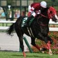 【CBC賞結果】12番人気フロムダスクが快勝 人馬ともに重賞初制覇