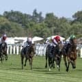 シャーガーカップ第4戦はルメール3着、武豊5着と奮闘…英愛選抜オズボーン騎手が快勝