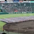 横浜vs沖縄尚学など好カードが揃う10日午後の部は完売！甲子園は超満員必至【26年夏甲子園】