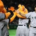 巨人・小笠原　粘投６回３失点　今季２勝目「野手がつないで点を取ってくれたので感謝」