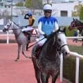 札幌記念など3重賞とフランスでジャックルマロワ賞/今週の競馬界の見どころ