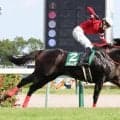 【ＣＢＣ賞】１５年目中井裕二騎手、１２番人気フロムダスクで涙のＪＲＡ重賞初制覇「やっと勝てた」