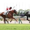 【中京３Ｒ・２歳新馬】コントレイル産駒で福永祐一厩舎のドラゴンバルド、快勝デビューで「２億６０００万円馬」の片りん