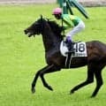 シャーガーカップ第4戦はルメール3着、武豊5着と奮闘…英愛選抜オズボーン騎手が快勝