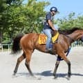 【中京記念・イシゴーの特注馬】カネラフィーナの左回りでのパフォーマンス向上期待　久々のマイル戦がポイントに