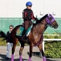 【札幌新馬・角田の特注馬】名前負けしない大物感！アイアムツヨスギルが好気配　池添謙一騎手「すごくいいものを持っている」