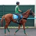 【札幌記念・ヤマタケの特注馬】今年は大混戦！　圧倒的な距離実績が心強いシェイクユアハート