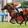 【長久手特別・松ケ下の特注馬】新馬戦で注目馬トミーバローズを撃破　３歳牝馬アーリーハーベストに期待