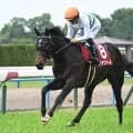 【札幌記念想定騎手】ショウヘイは川田将雅騎手、アドマイヤテラは坂井瑠星騎手