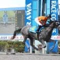 【浦和競馬】「追ったぶんだけ伸びる感じ」トレブルクレフが初陣を快勝　イロドリノココロは差し切り「新馬とは思えないぐらいどっしり」