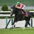 【先週のJRA抹消馬】芝短距離重賞2勝のテイエムスパーダ、重賞2着7回ボンドガールなど