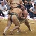 大関・霧島、２日連続の三番稽古で計１０番　綱取りへ「ここからしっかり体を戻す」