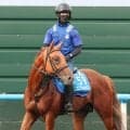 【札幌記念】小倉記念Ｖのゼンダンハヤブサが連勝で夏の中距離王狙う　橋田調教師「チャレンジャーかなと思っています」