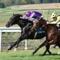 【ジャックルマロワ賞】日本馬の最大の強敵は６戦無敗でＧ１・３勝の３歳馬ボウエコー　地元フランスのライフも強力