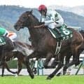 【AI予想・札幌記念】前走のクラスや距離に明確な傾向があるスーパーGII！ 意外な馬にも注目する人工知能の本命候補とは