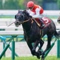ディープ産駒が17年連続のJRA重賞制覇なるか 中京記念に良血2頭が出陣！