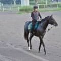 叔父には複数のクラシックホース 土曜新潟芝1800mで初陣のリボンロード/関東馬メイクデビュー情報