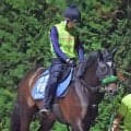 【中京記念】杉山晴調教師「気持ちはマイルドになっていますね」サトノシャイニングは１０か月半の休養効果あり！