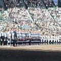 両校のＯＢ、阪神・及川＆岡留が横浜－沖縄尚学観戦　及川「刺激になる」岡留「励みになった」