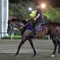 【ジャックルマロワ賞】「海外の芝も合いそう」武豊騎手が“始まりの地”で安田記念馬シックスペンスと１８年ぶり参戦
