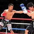 内山高志がダウンのピンチを「左」で切り抜け逆転ＴＫＯ勝ち　三浦隆司との強打者対決制し、ＷＢＡスーパーフェザー級王座３度目の防衛に成功