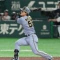 【阪神】集中攻撃で巨人山崎伊織KO　前川右京、元山飛優の下位打線一挙６得点　勝てば単独首位