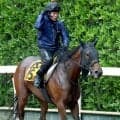 【クラスターＣ】３年１１か月ぶりの５２キロ川田将雅騎手が３年ぶりＶ　１番人気アンズアメが３連勝で重賞初挑戦勝利