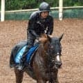 【クラスターＣ】惜しい！　連覇ならず　２番人気のサンライズアムールはゴール寸前で差し切られて首差２着
