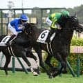 【中京記念予想オッズ】サトノシャイニングが予想1番人気