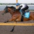 【札幌記念】重賞連勝を狙う良血グランディアは課題の輸送をクリア　陣営が期待大「よくここまでこれたなと」