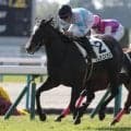 【中京記念展望】前走同距離のGI組ナムラコスモスが世代の勢いに乗って重賞制覇へ
