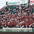 【甲子園】阪神園芸が入念にグラウンド整備　朝方から降る雨の影響で拓大紅陵－佐賀商戦前に