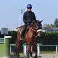【注目馬動向】骨折から復帰戦となる日本海Ｓはルメール騎手と４戦ぶりコンビ　青葉賞で２着のタイダルロック　