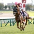 【キーンランドC想定】ウインカーネリアン、パンジャタワーなど10頭