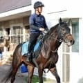 【札幌記念】ショウヘイは初めての北海道で躍動感十分　洋芝も問題なし　陣営「違和感を感じたりはしなかった」
